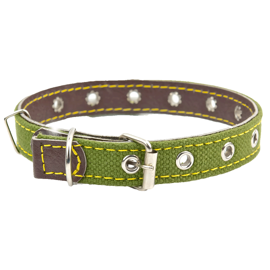 Green Collar